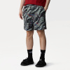 Шорты TNF Class V Pathfinder Pull-On Short (Мужской; M; BlackBeta FlashPrint)